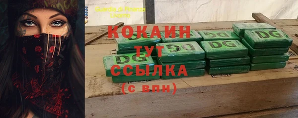 прущие грибы Краснотурьинск