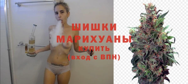 прущие грибы Краснотурьинск