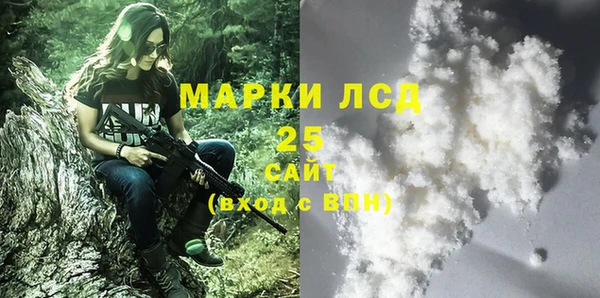 прущие грибы Краснотурьинск