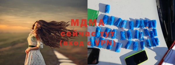 прущие грибы Краснотурьинск