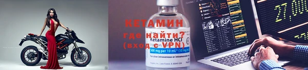 прущие грибы Краснотурьинск
