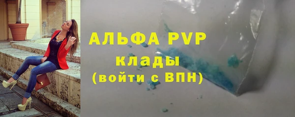 прущие грибы Краснотурьинск