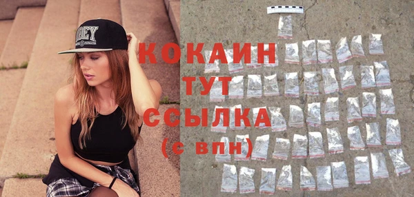 прущие грибы Краснотурьинск
