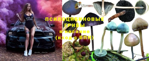 эйфоретик Краснослободск