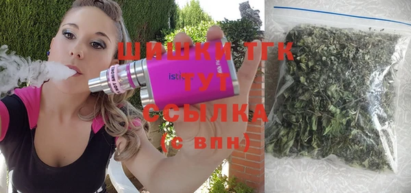 эйфоретик Краснослободск