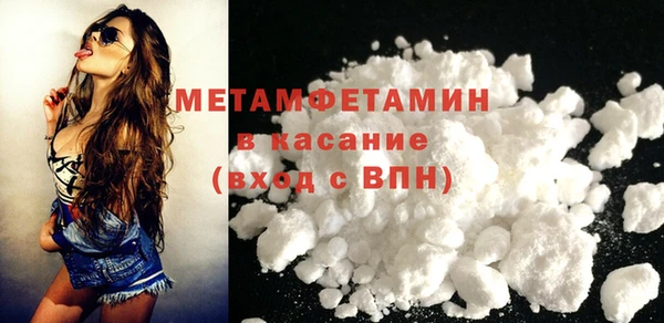 прущие грибы Краснотурьинск