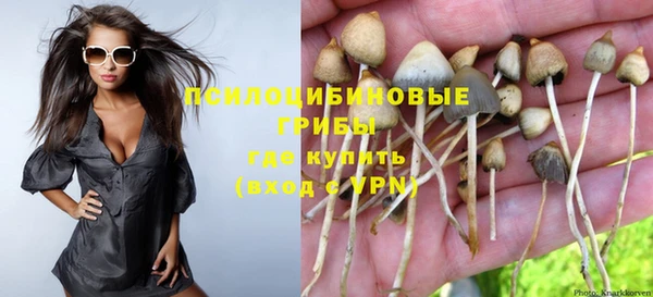 эйфоретик Краснослободск