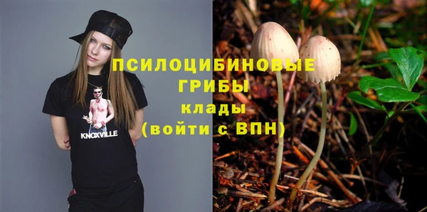 эйфоретик Краснослободск